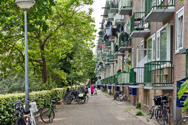 straat met groen