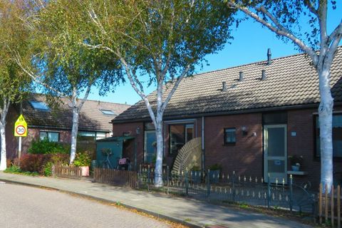 Lees het hele verhaal