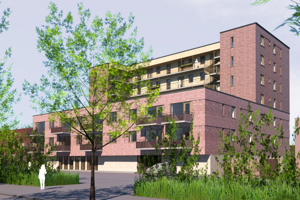 Illustratie Lisdoddestraat