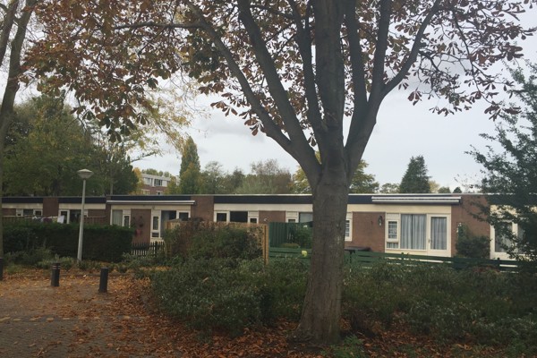 Fokkemast Herfstaanzicht