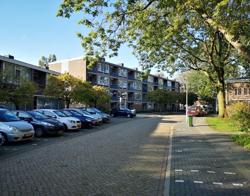 Straat hof van holland