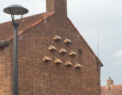 Broedkasten mussen aan gevel woning