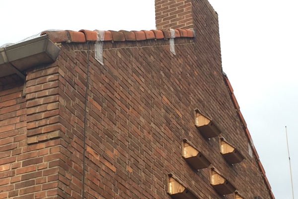 Kraamverblijfplaatsen vleermuizen aan de zijkant van een huis